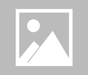 AYX-关于杜兰特迎来十五赛季高光表现，西班牙队球迷沸腾！的信息